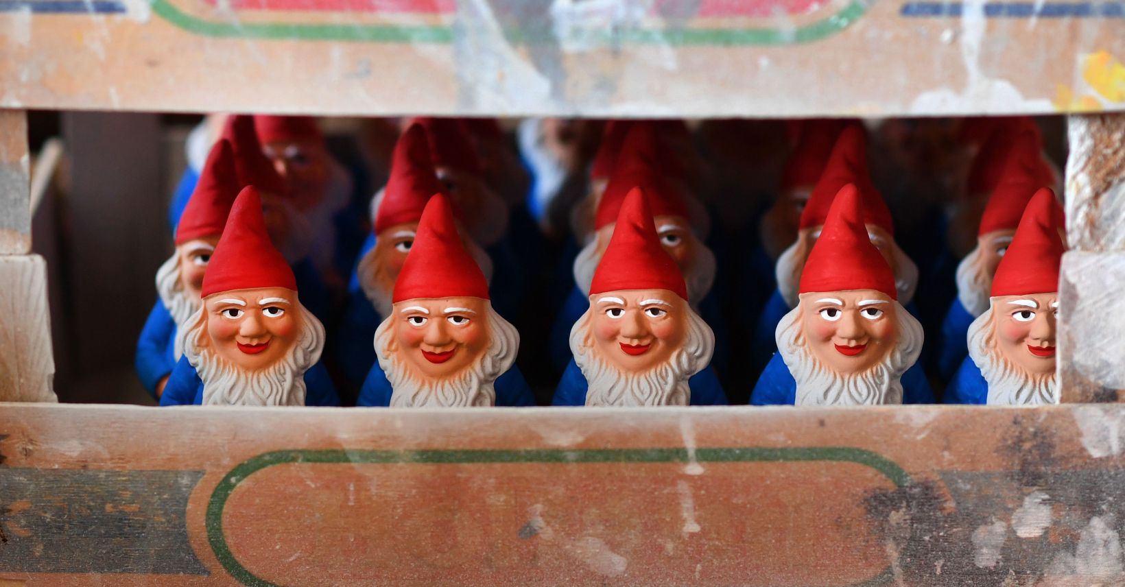 Garden gnomes are pictured at the 