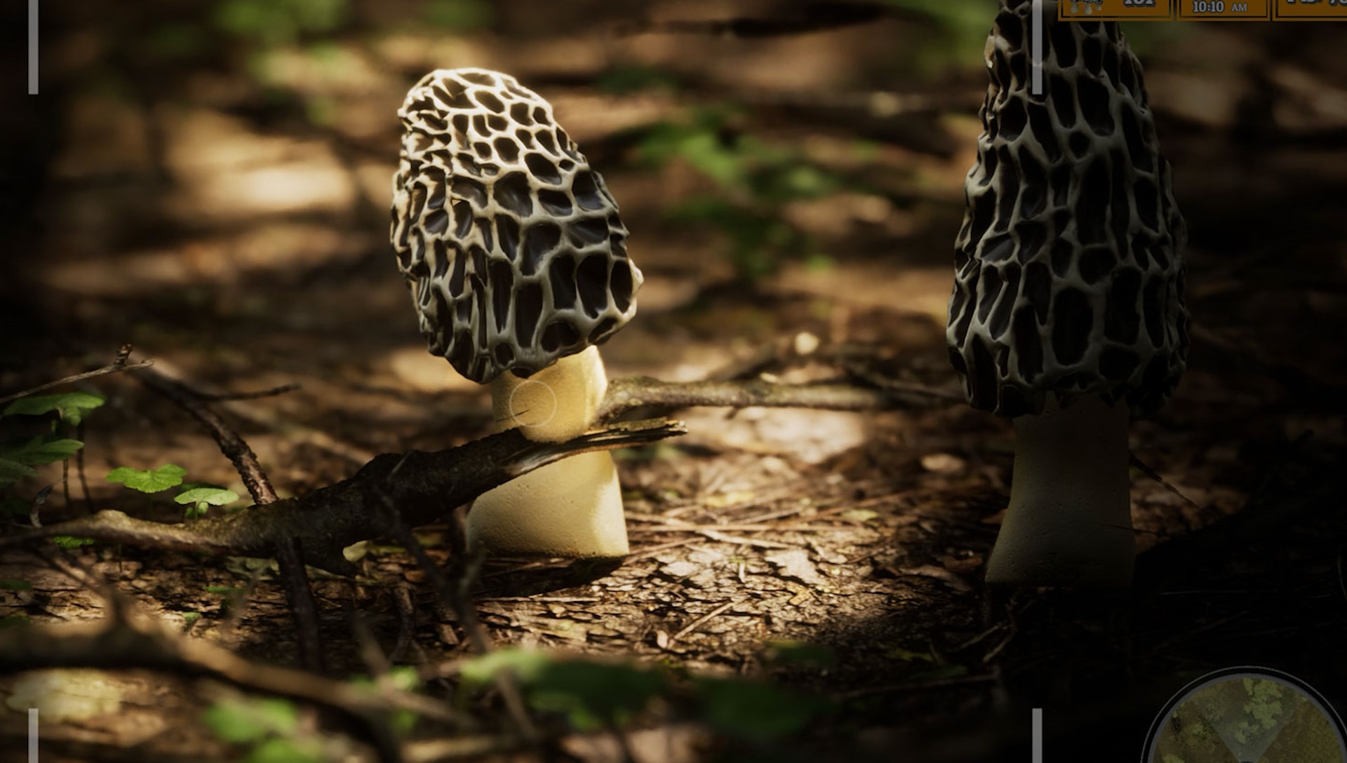 Morels: The Hunt 2 screenshot - closed of a morel