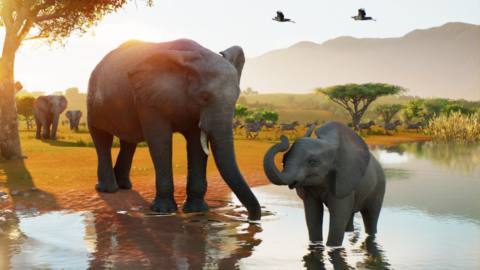 Planet Zoo 2 is a beautiful sequel and a fine management sim, but it’s the animals that steal the show