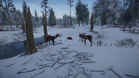 Planet Zoo 2 review: Superstar animals and frustrating micromanagement